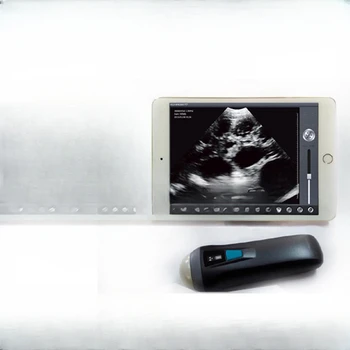 Vezeték nélküli szarvasmarha, juh speciális ultrahang gép ló terhességi tesztet, tiszta képeket állati felhasználásra